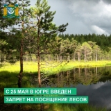 С 25 мая в автономном округе запрещено посещать леса и въезжать в лесные массивы на автотранспортных средствах, в том числе для ведения охоты и рыболовства в поймах крупных рек.