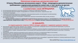 В Ханты-Мансийском автономном округе – Югре  утверждены дополнительные требования к содержанию домашних животных, в том числе к их выгулу 