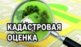 Государственная кадастровая оценка объектов недвижимости  в 2023 году: как ознакомиться с предварительными результатами кадастровой оценки объектов недвижимости и подать замечания к проекту отчета