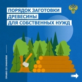 Информация по вопросу заготовки гражданами древесины для собственных нужд 