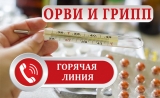 «ГОРЯЧАЯ ЛИНИЯ» ПО ПРОФИЛАКТИКЕ ГРИППА И ОРВИ 