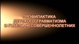 ПРОФИЛАКТИКА ДЕТСКОГО ТРАВМАТИЗМА И ГИБЕЛИ НЕСОВЕРШЕННОЛЕТНИХ ОТ УПРАВЛЯЕМЫХ ПРИЧИН